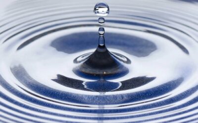 Collaborating: The Ripple Effect of Working Together
